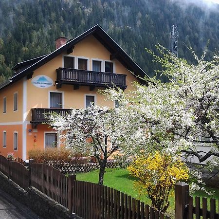 Saeuleck Appartement Inkl Skibus Mallnitz Buitenkant foto