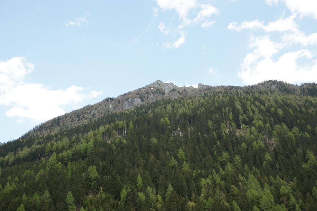 Saeuleck Appartement Inkl Skibus Mallnitz Buitenkant foto