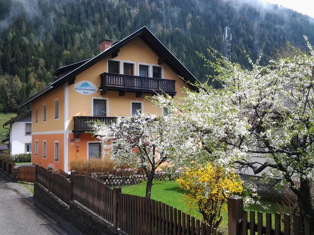 Saeuleck Appartement Inkl Skibus Mallnitz Buitenkant foto